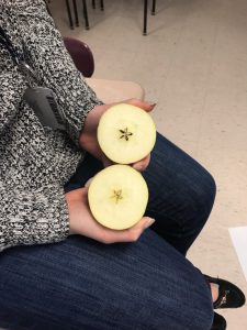 An apple is in two where you can see the star created with the seeds