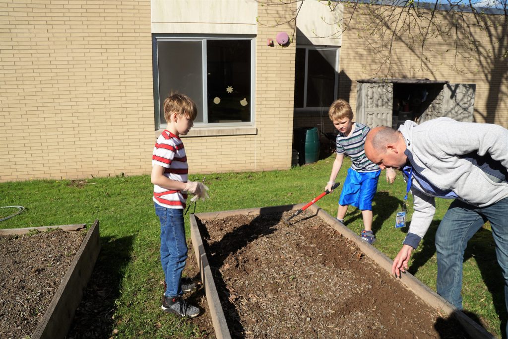 Two young elementary school age boys help out their teacher at a vegatable garden box.