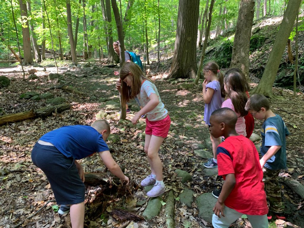 Six elementary students in the woods looking down at the logs and ground looking for insects