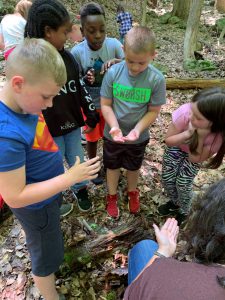 Six students stand in a circle looking at the bugs they are holding in their hands