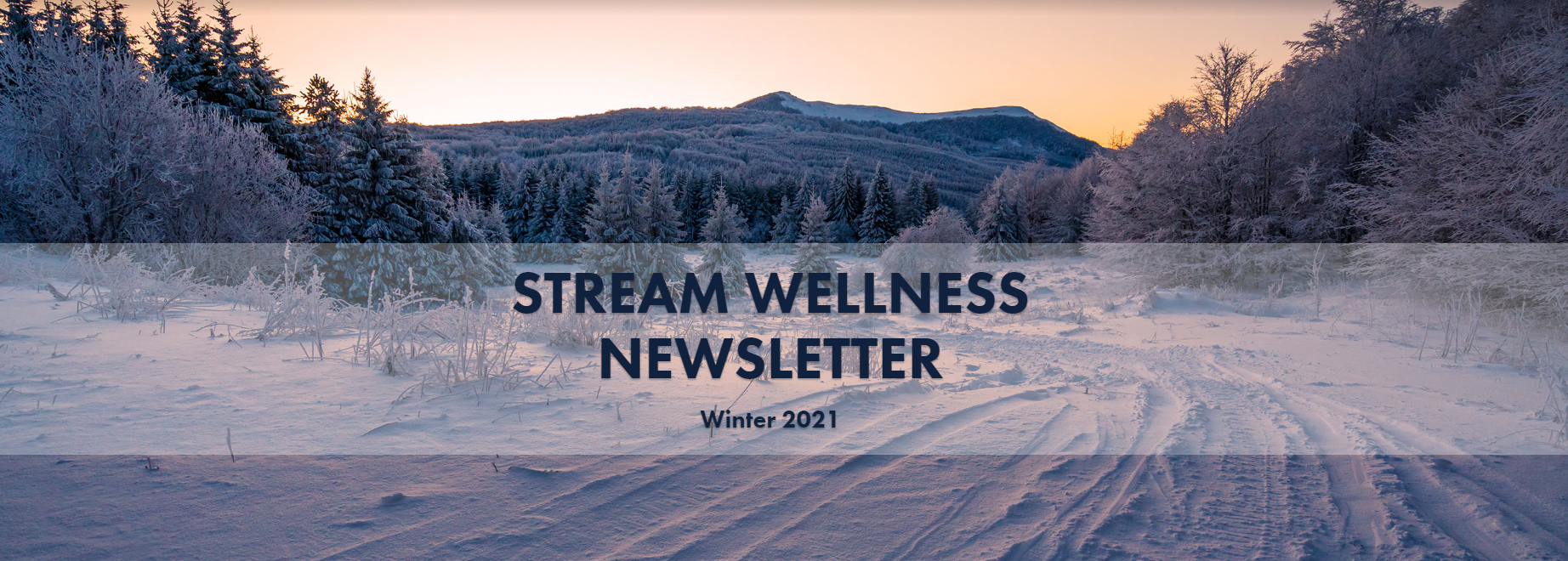 an image of a mountain covered in snow with the words "STREAM Wellness Newsletter"