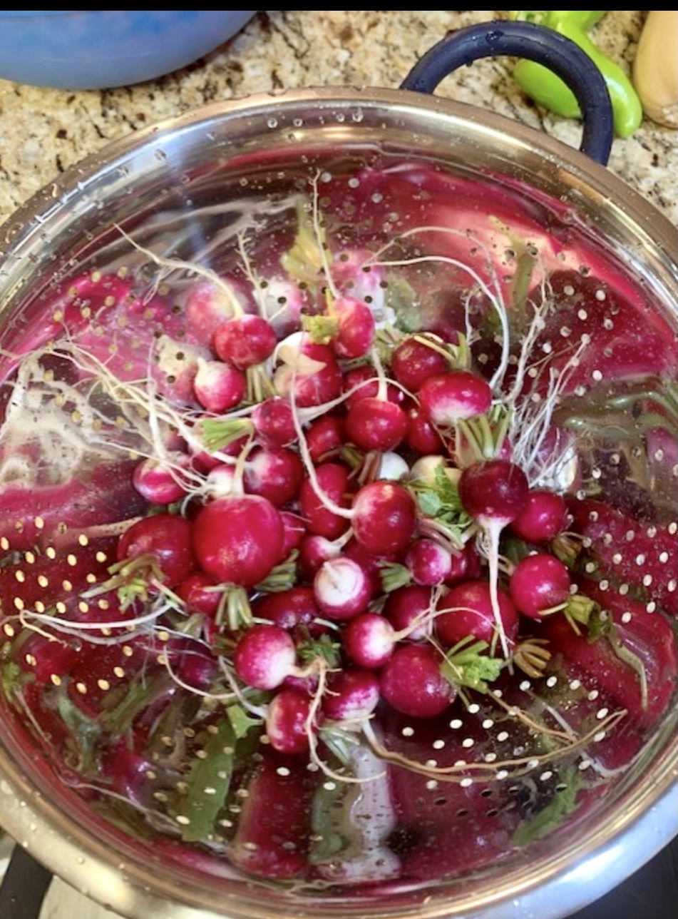 a colandar full of radishes