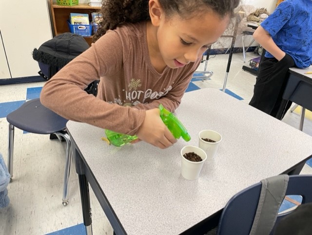 a young girl is spraying water on a seedling