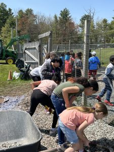 students are working on a garden 