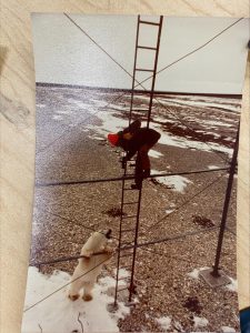 a man on a ladder is looking down at a polar bear