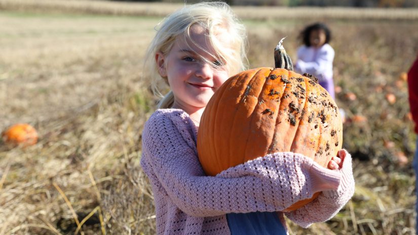 a girl is holding a pumpkin in a pumpkin patch