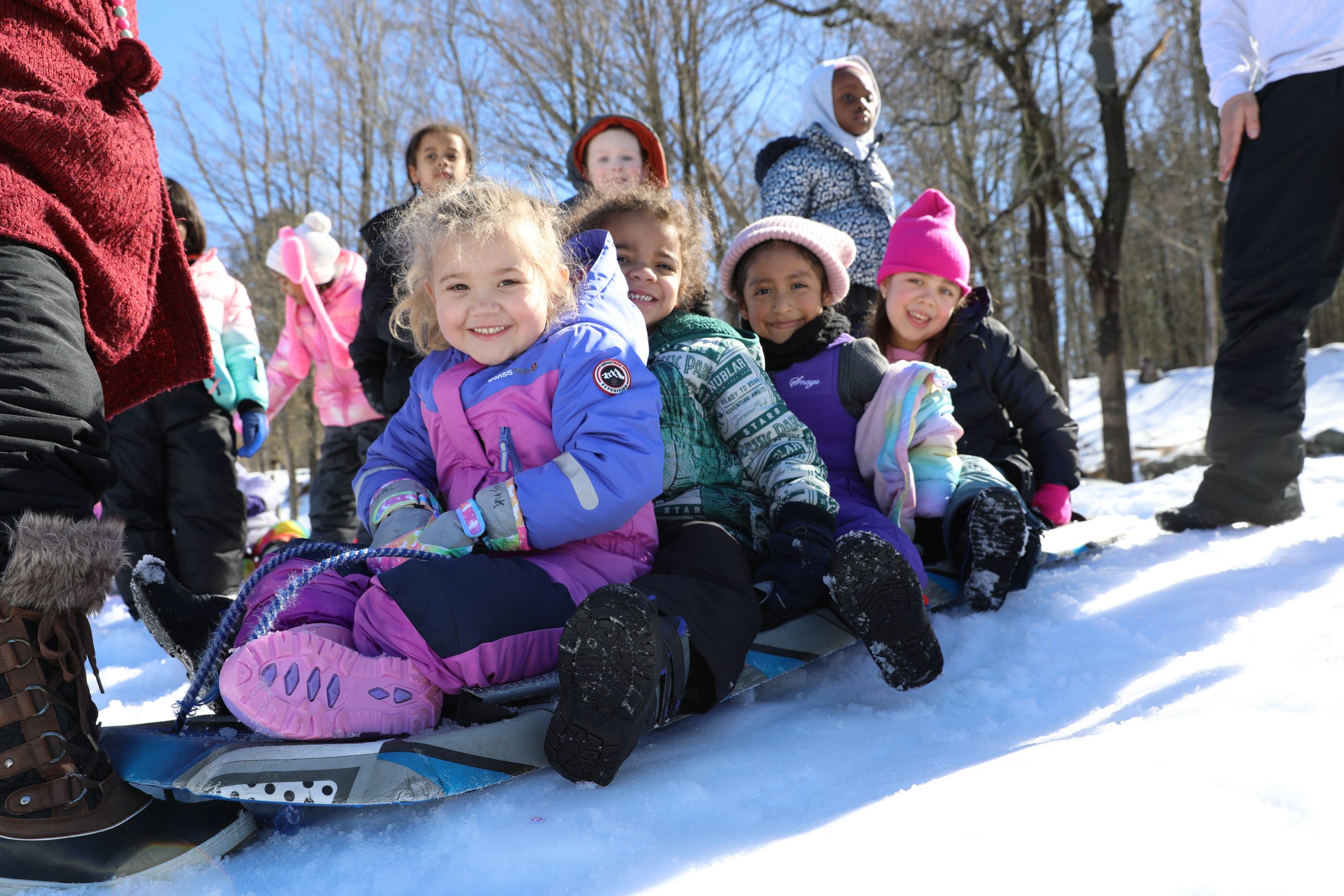 four students are on a sled